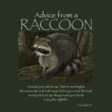 Advice from a Raccoon™ T-Shirt